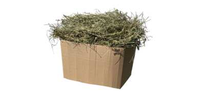 Nourish Your Small Pets with a FREE Hay Sample
