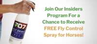 Keep Flies Away – FREE Formula 707 Spray for Horse Owners