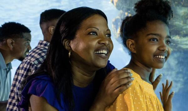 Teachers, Enjoy SeaWorld All Year FREE in 2025!