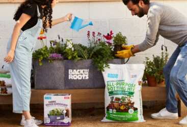 Back to the Roots All-Purpose Potting Mix for Free