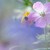franrick0319