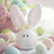 boo.tique.productsreview