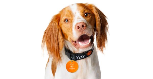 Tail-Wagging Freebie! Tito’s Vodka Dog Collar Tag!